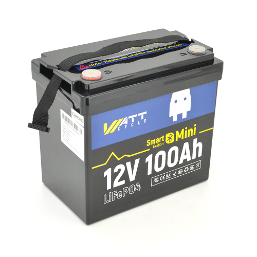 Аккумуляторная батарея WattCycle LiFePO4 WT12V100AH100MINIBT Bluetooth 12