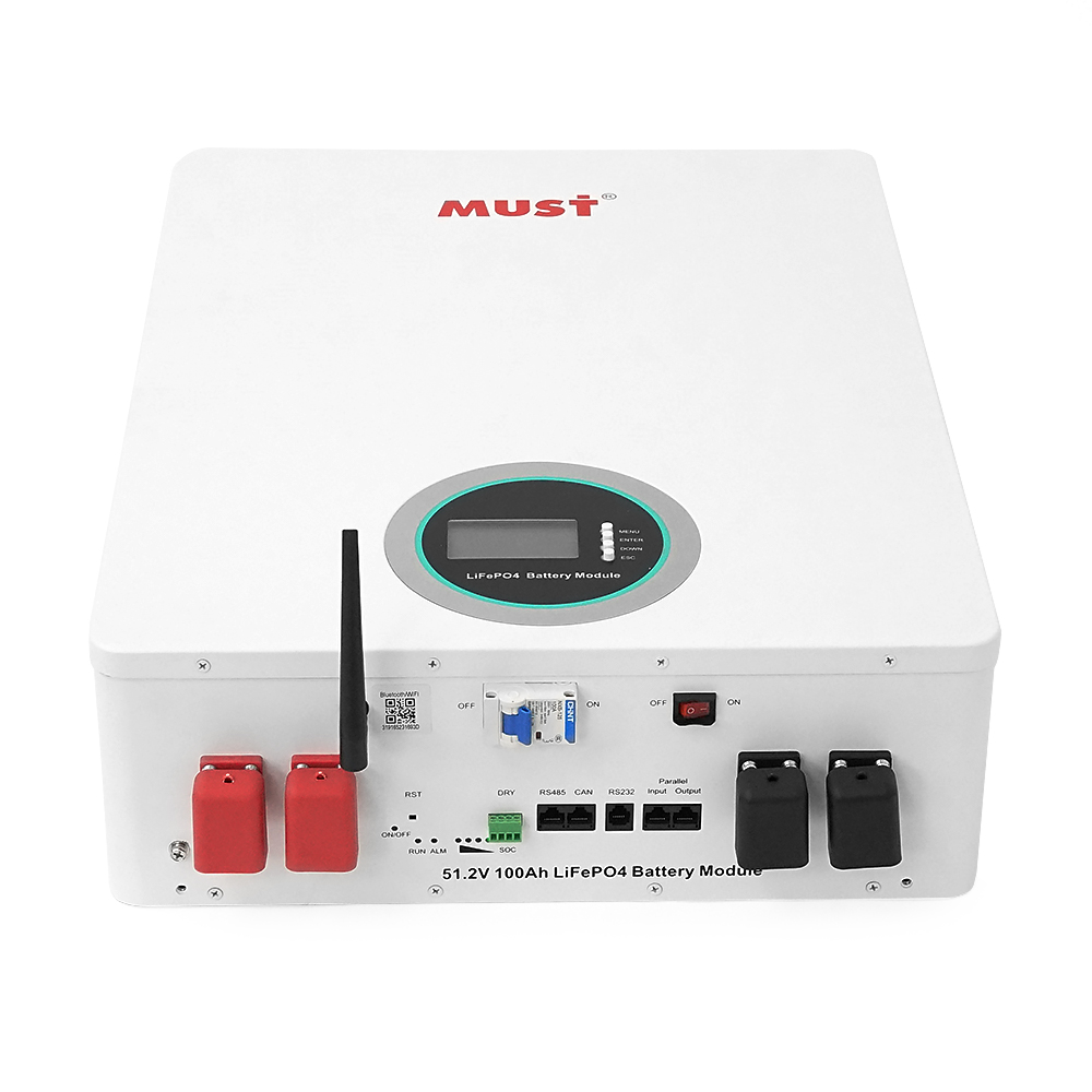 Аккумуляторная батарея Must LiFePO4 LP16-48100 51.2V 100Ah (5.12kWh)