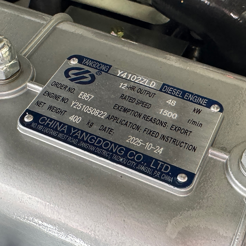 Генератор дизельный OYAL OYY-66 YANG DONG Y4102ZLD 66kVA/52.8kW, Alternator OYL224E