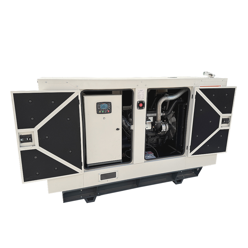 Генератор дизельный OYAL OYY-110 YANG DONG Y4110ZLD 110kVA/88kW, Alternator OYL274c
