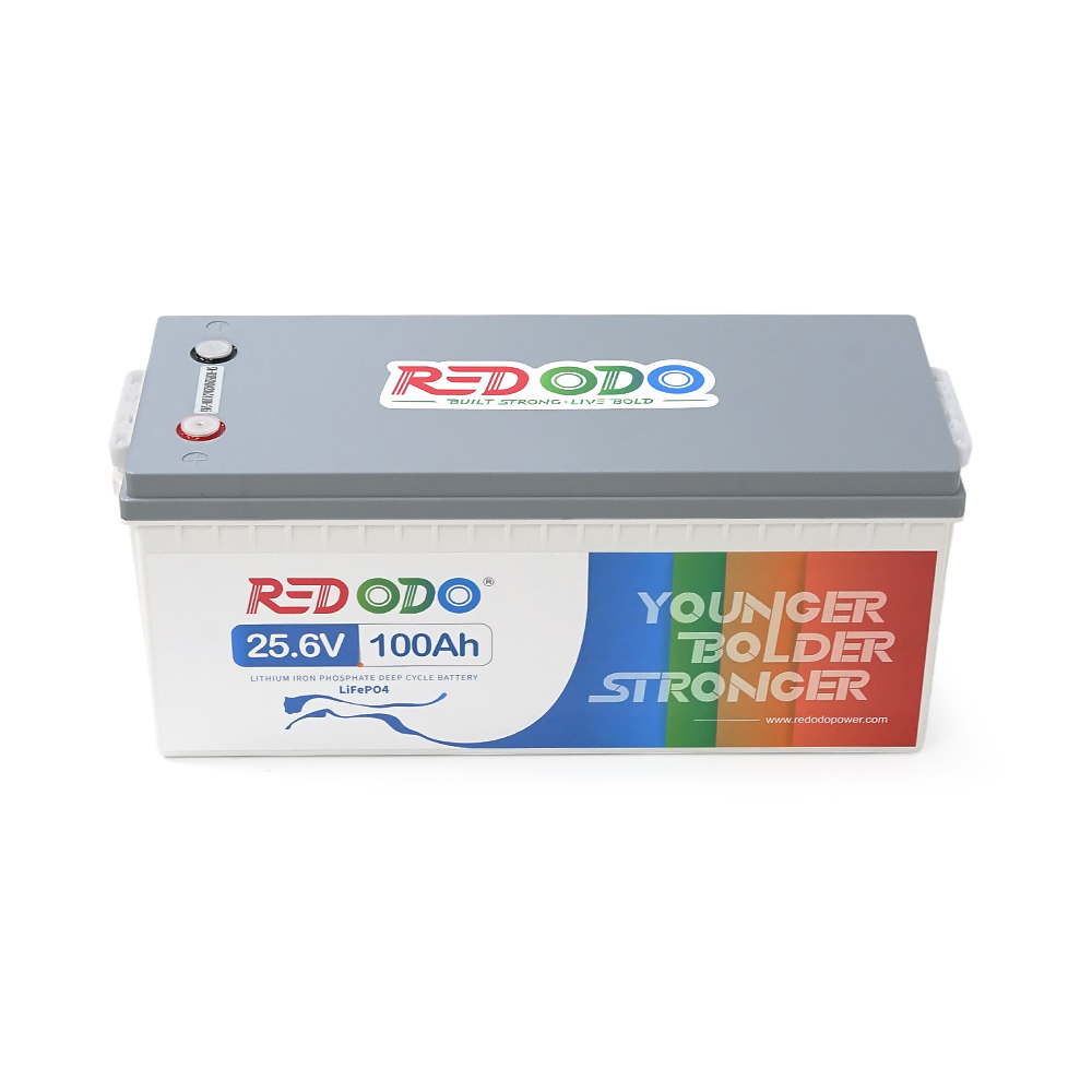 Акумуляторна батарея LiFePO4 Redodo 25.6V 100Ah, 2560Wh, BMS 100A, BASIC, ≥4000 циклів, 532*207*215мм, 19 kg