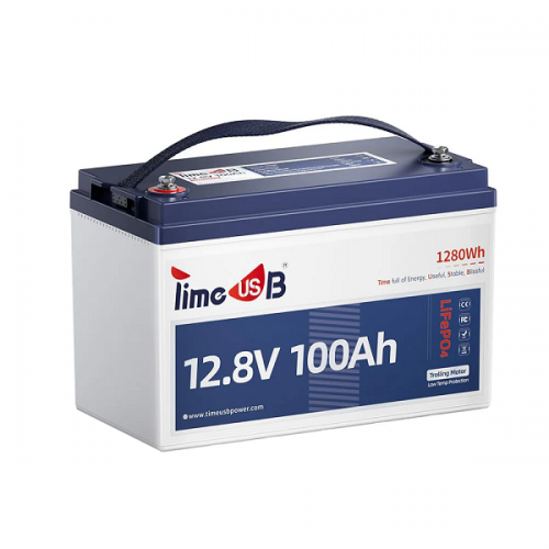 Акумуляторна батарея LiFePO4 Timeusb 12.8V 100Ah Low-Temp