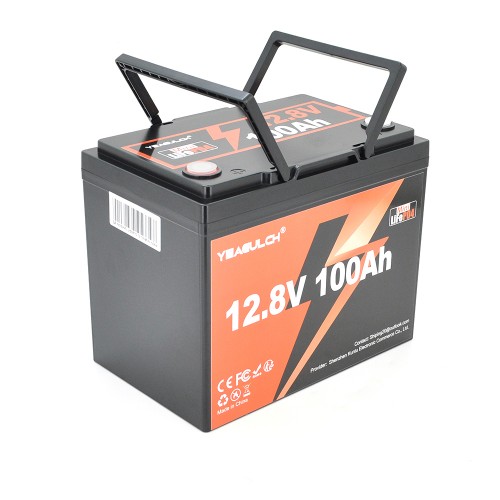 Акумуляторна батарея YEAGULCH Mini LiFePO4 12