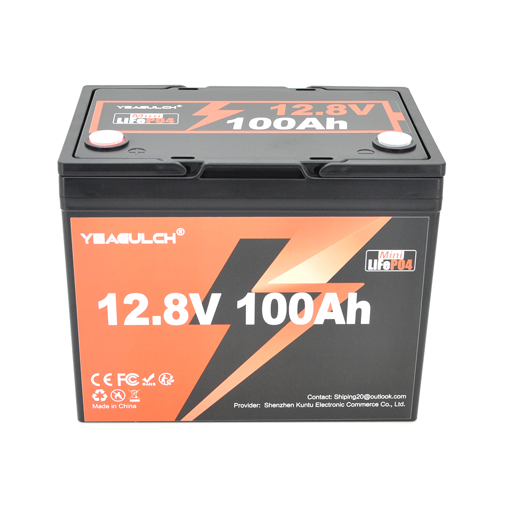 Акумуляторна батарея YEAGULCH Mini LiFePO4 12,8V 100Ah 1280Wh, BMS-100A, ( 246 x 187 x 197) , M8, 12.9kg Q1