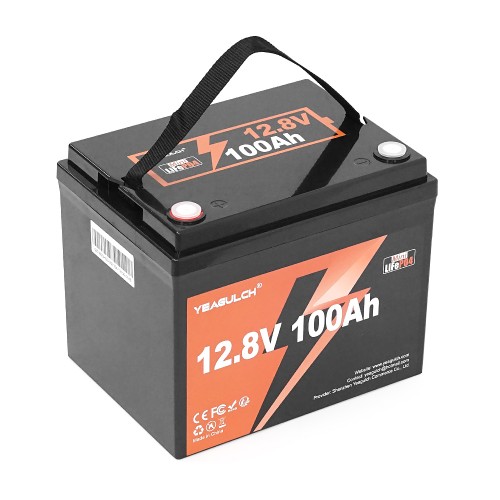 Акумуляторна батарея YEAGULCH Mini Max LiFePO4 12