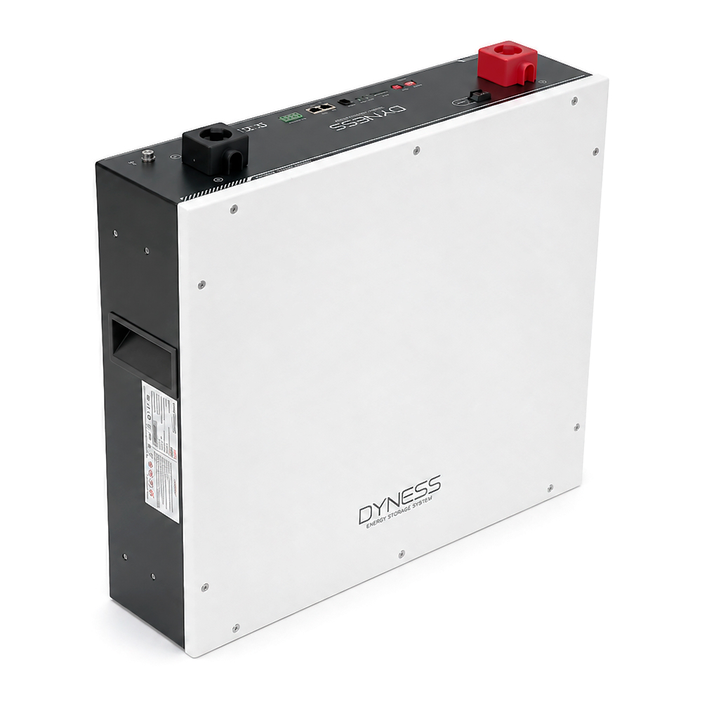 Акумуляторная батарея Dyness DL5.0C 51.2В/100Ач, 54 кг