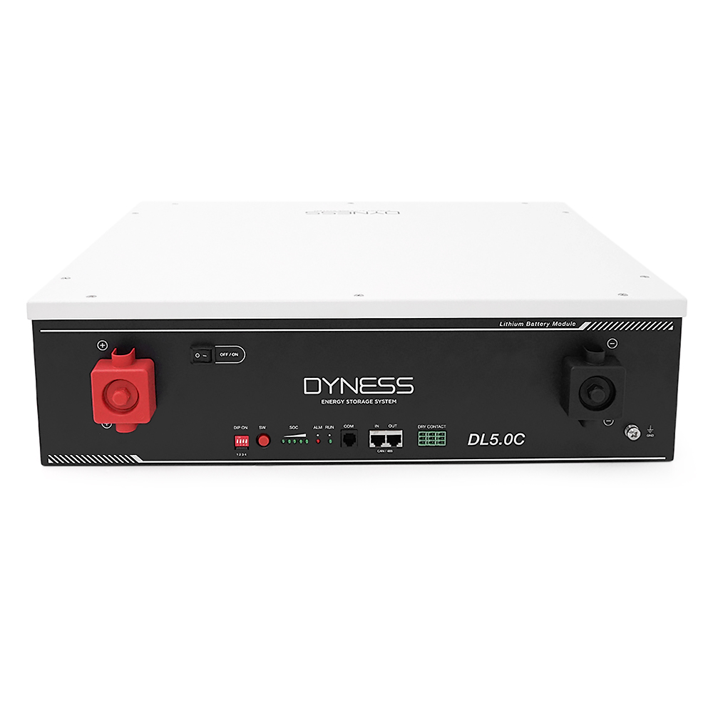 Акумуляторная батарея Dyness DL5.0C 51.2В/100Ач, 54 кг