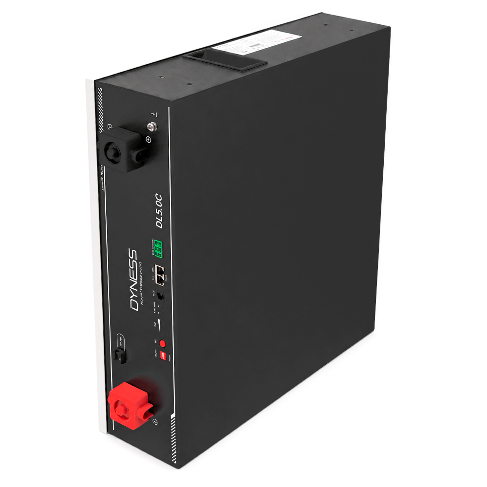 Акумуляторная батарея Dyness DL5.0C 51.2В/100Ач, 54 кг