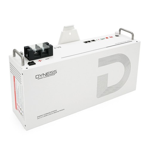 Акумуляторная батарея LiFePO4 Dyness DL2.5, 25.6V/100Аh, 23kg