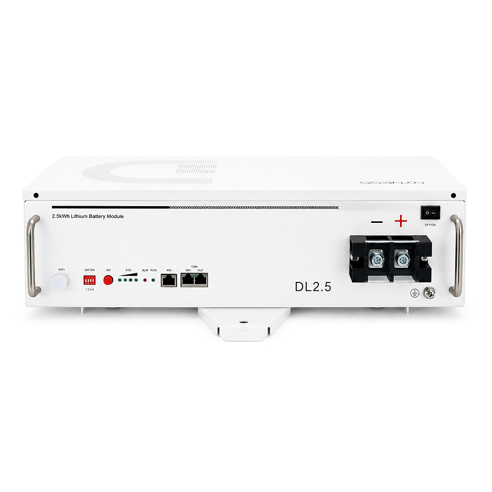 Акумуляторная батарея LiFePO4 Dyness DL2.5, 25.6V/100Аh, 23kg